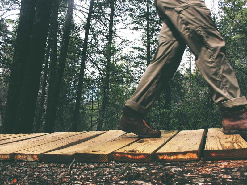 feedback screenshot 2