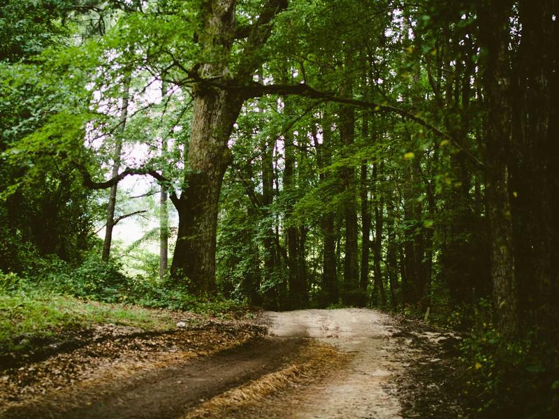 sudoku landscape mode screenshot 2