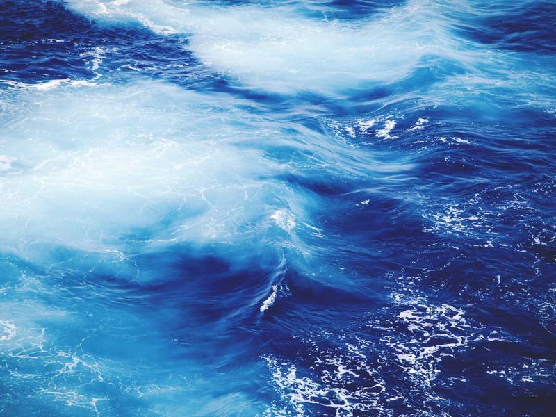 feedback screenshot 3